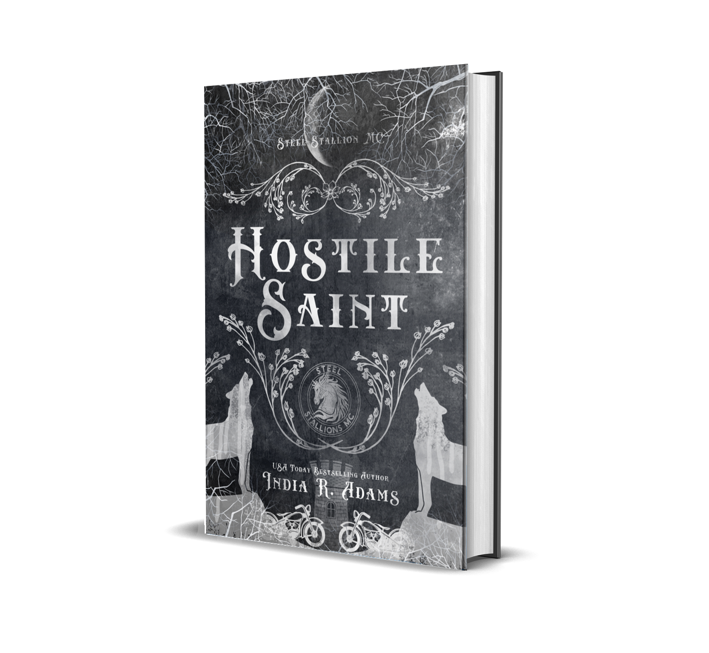 Hostile Saint - HARDBACK FAIRYTALE EDITION - AIBG 2026